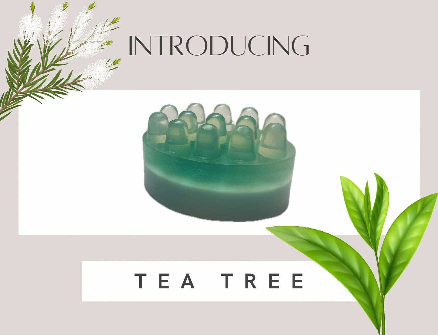 Tea Tree Soap Bar