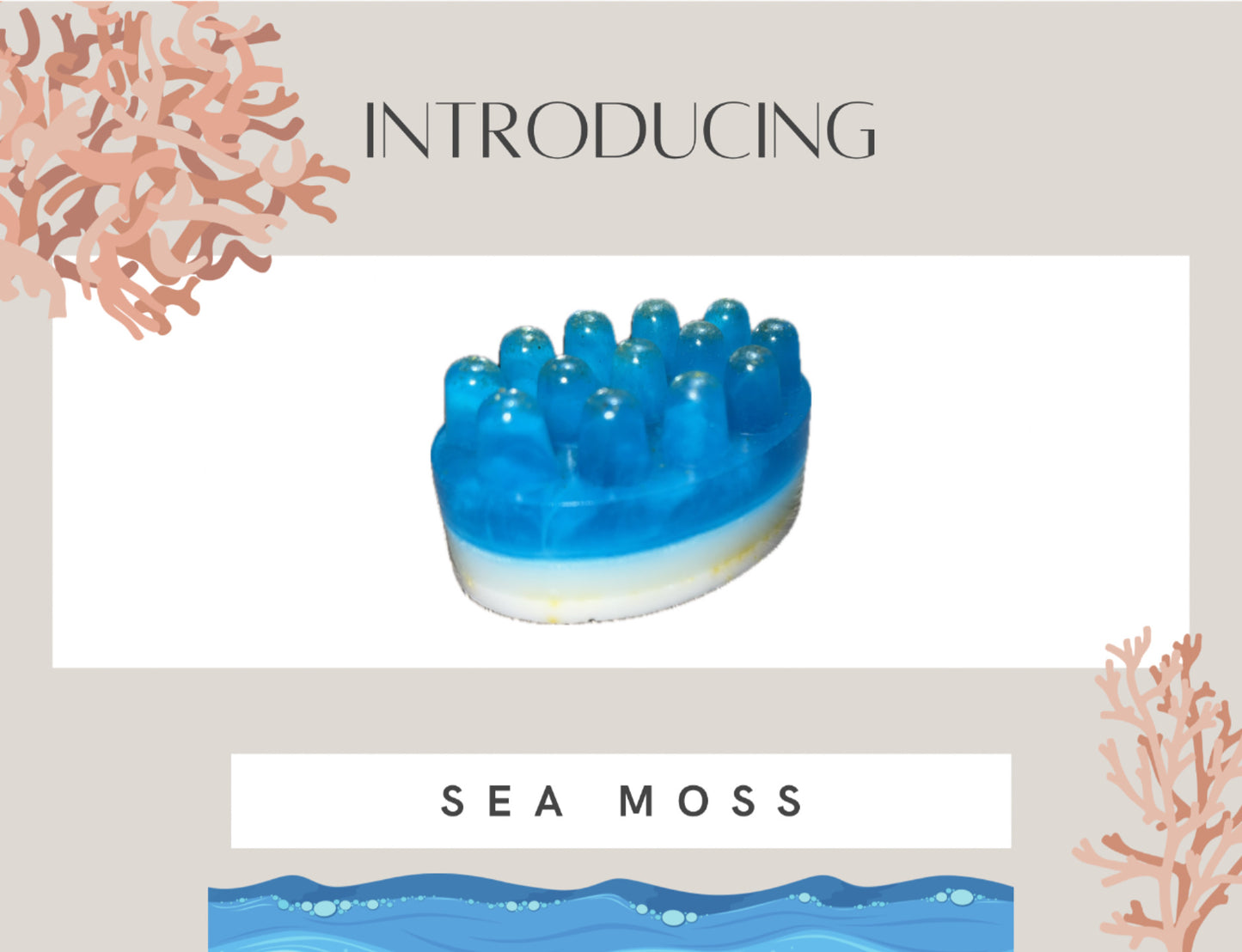 Sea Moss Soap Bar