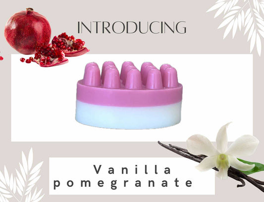 Vinilla Pomegranate Soap Bar