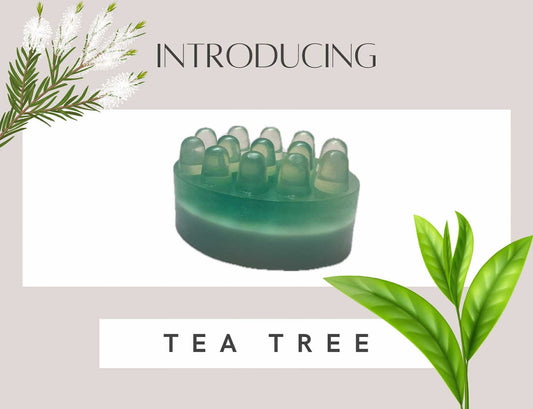 Tea Tree Soap Bar