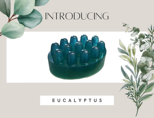 Eucalyptus Soap Bar
